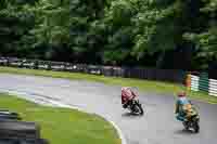 cadwell-no-limits-trackday;cadwell-park;cadwell-park-photographs;cadwell-trackday-photographs;enduro-digital-images;event-digital-images;eventdigitalimages;no-limits-trackdays;peter-wileman-photography;racing-digital-images;trackday-digital-images;trackday-photos